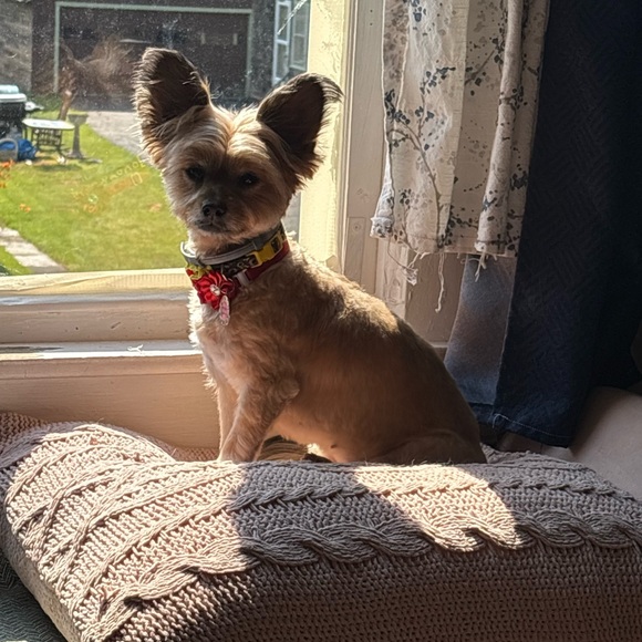 Meet your Posher, Christine - Picture 2 of 2